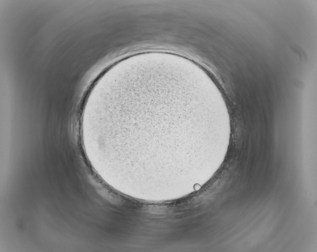 X0000111011511200907311041
