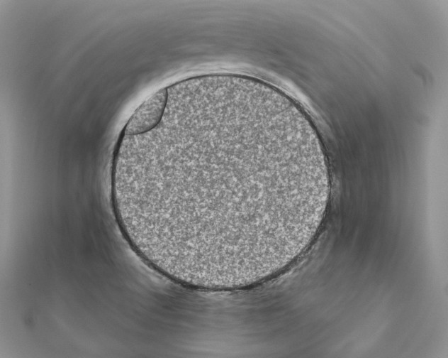 X0000111011512200907311041