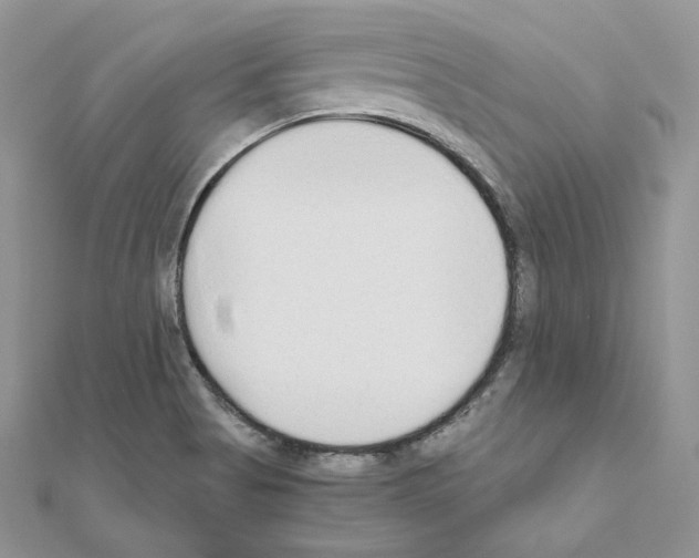 X0000111011513200907311041