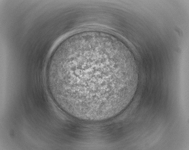 X0000111011514200907311041
