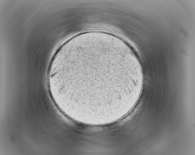 X0000111011517200907311041