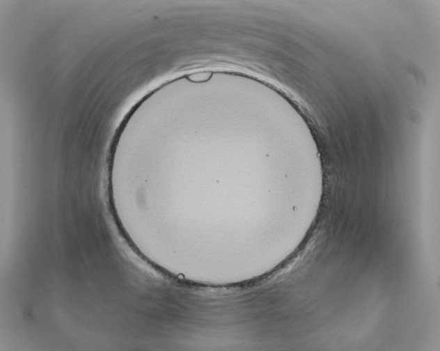 X0000111011518200907311041