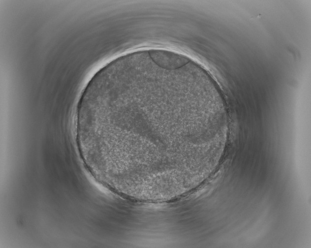 X0000111011519200907311041