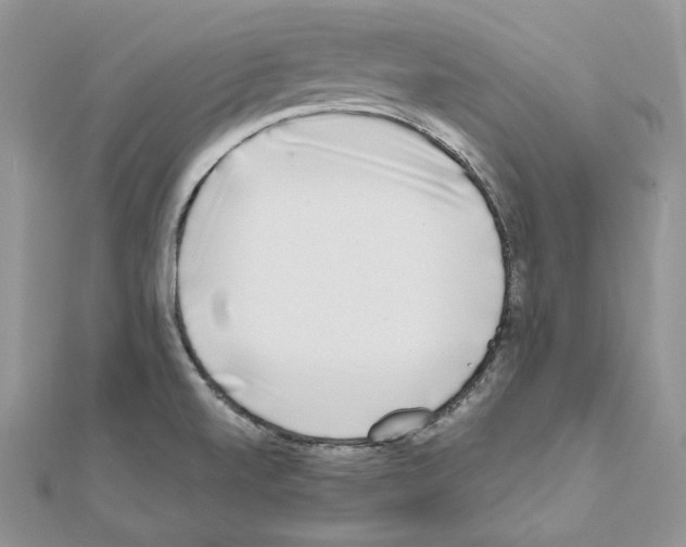 X0000111011520200907311041