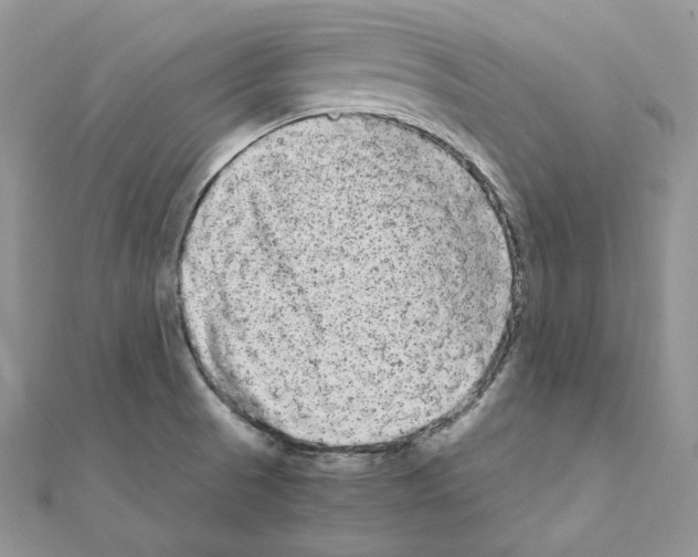 X0000111011521200907311041