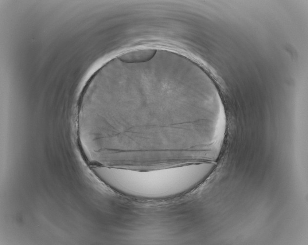X0000111011522200907311041