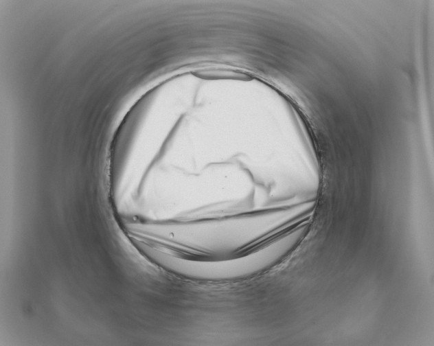 X0000111011524200907311041