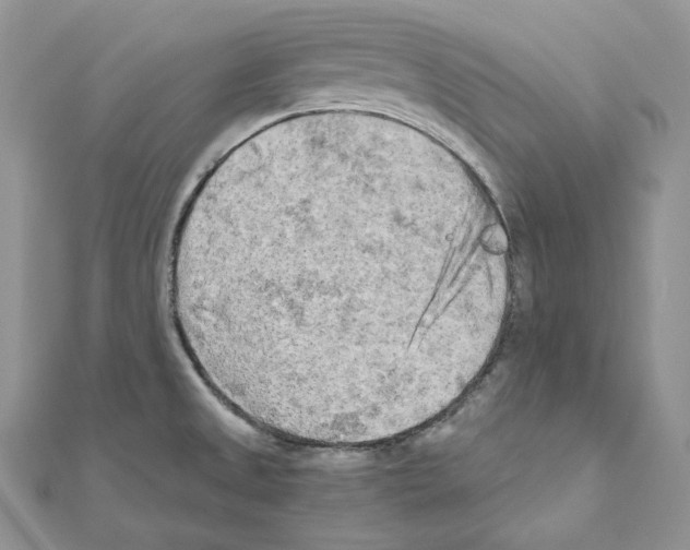 X0000111011525200907311041