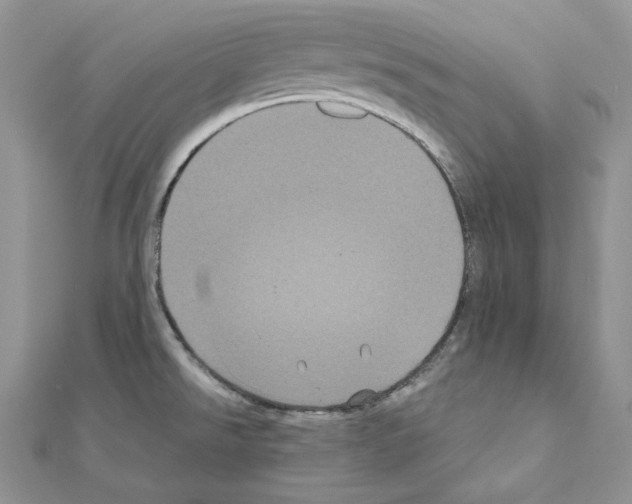 X0000111011526200907311041