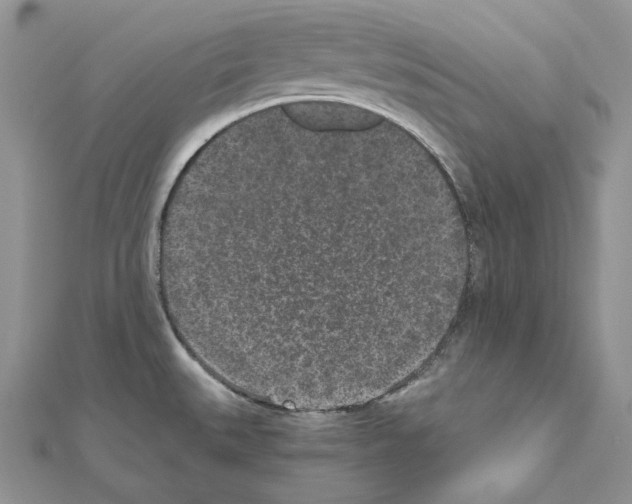 X0000111011527200907311041