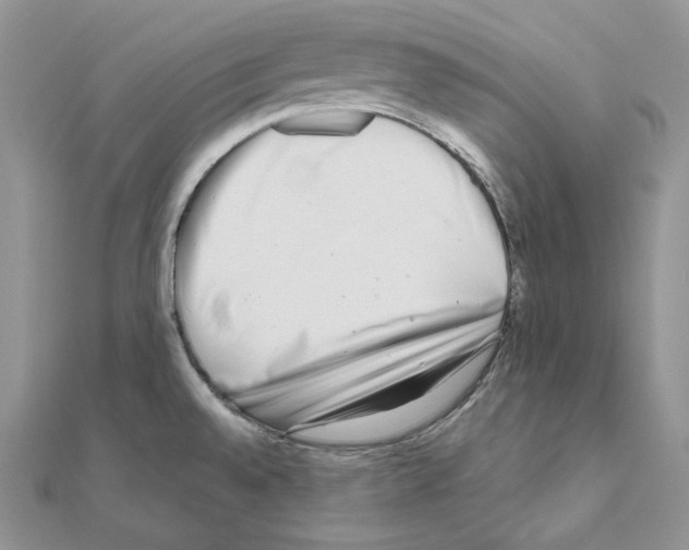 X0000111011528200907311041