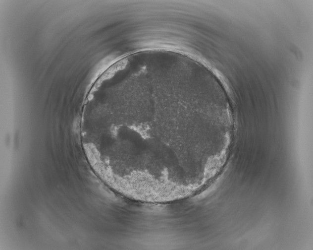 X0000111011529200907311041