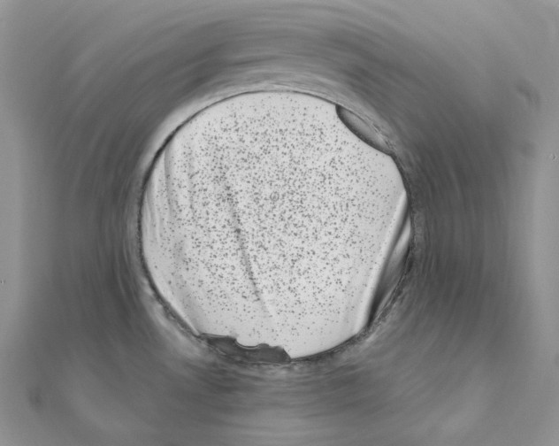 X0000111011530200907311041