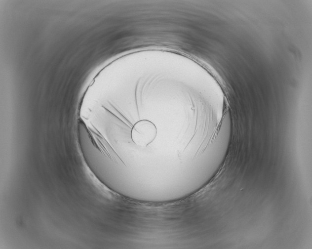 X0000111011532200907311041