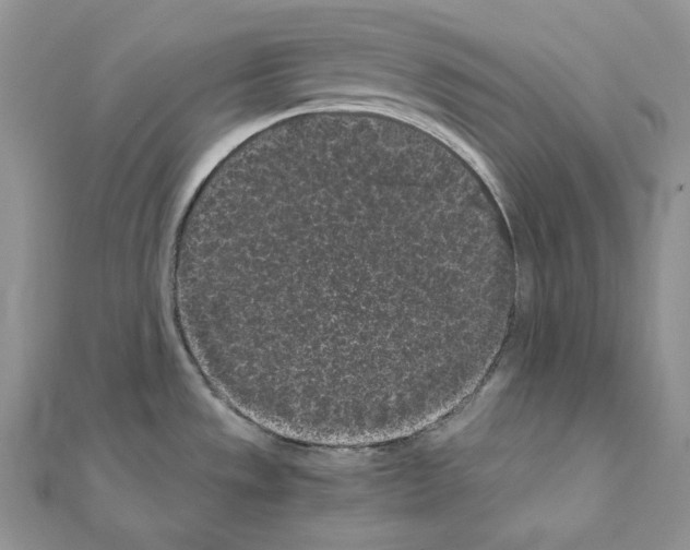 X0000111011533200907311041