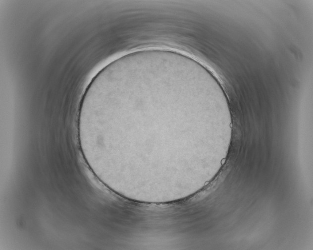 X0000111011534200907311041