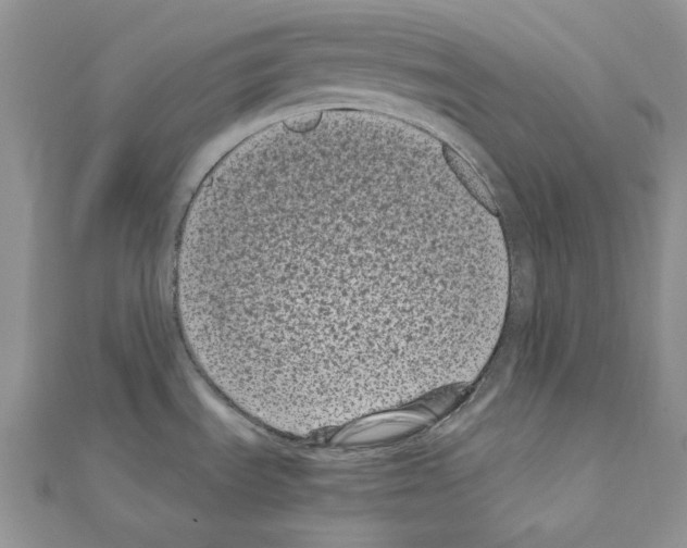 X0000111011535200907311041
