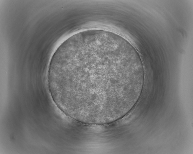 X0000111011536200907311041