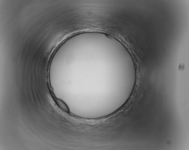 X0000111020002200906191242