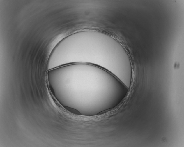 X0000111020003200906191242