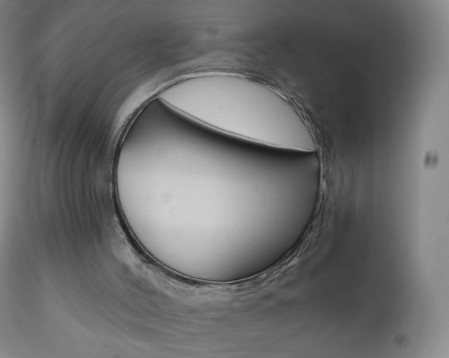 X0000111020004200906191242
