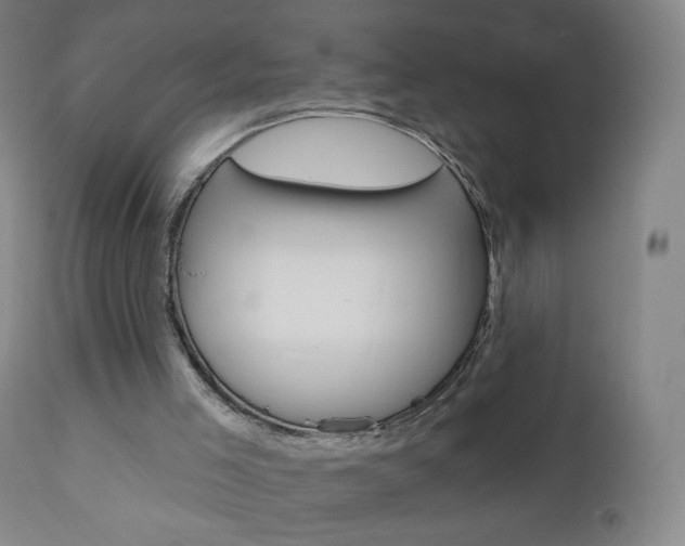 X0000111020005200906191242