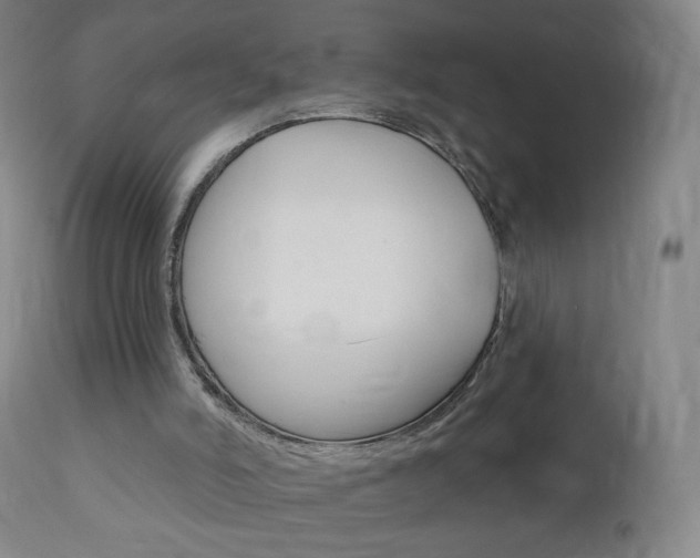 X0000111020006200906191242