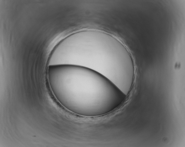 X0000111020007200906191242