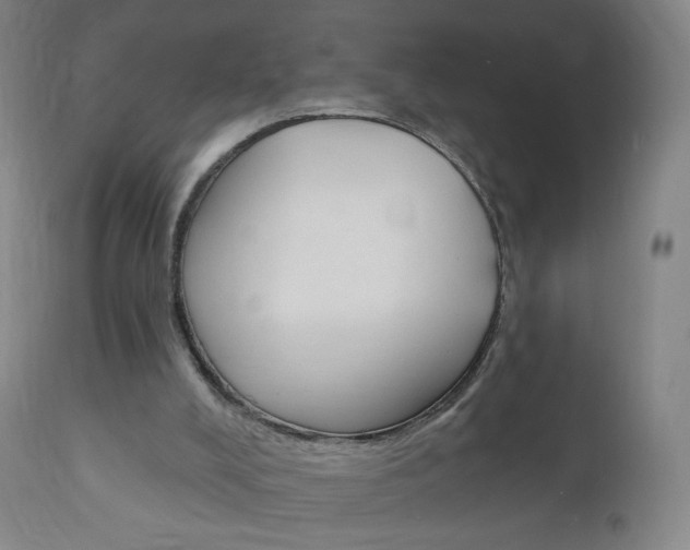 X0000111020008200906191242