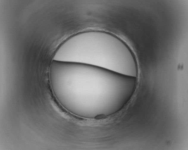 X0000111020009200906191242