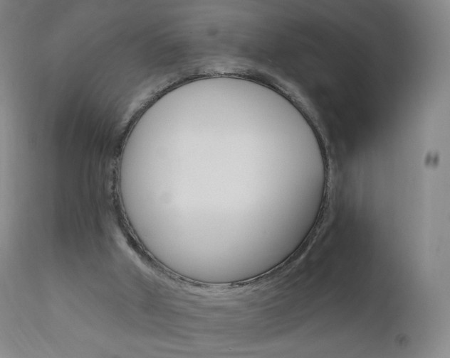 X0000111020010200906191242
