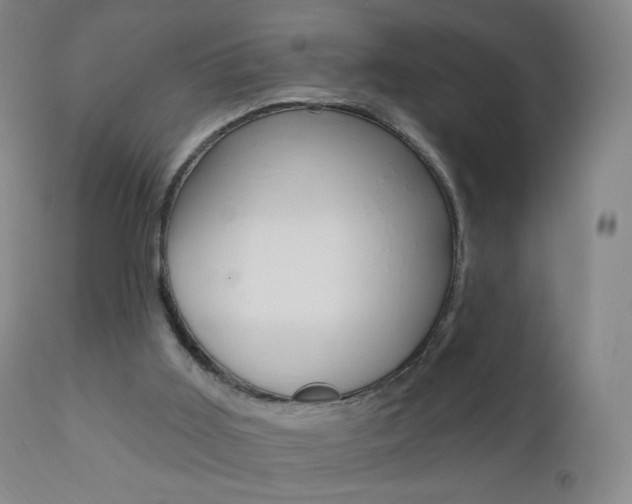 X0000111020011200906191242