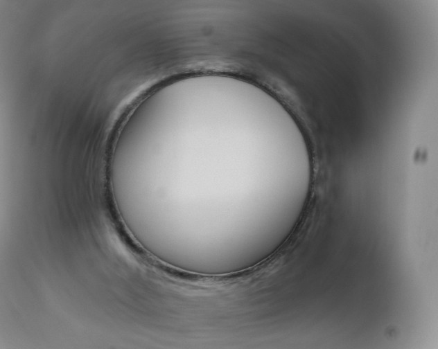 X0000111020012200906191242