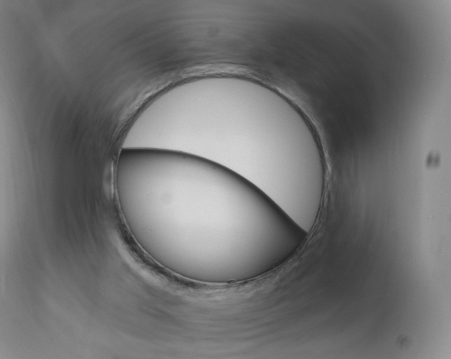 X0000111020013200906191242