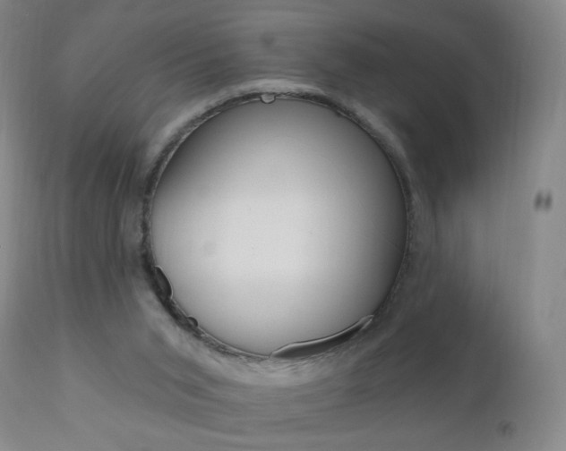 X0000111020015200906191242