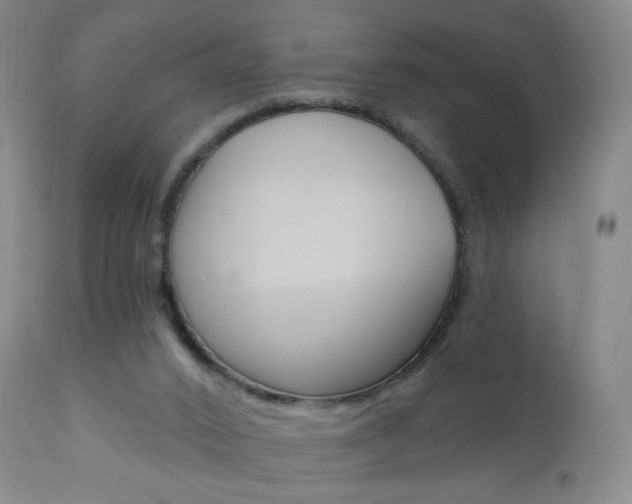 X0000111020016200906191242