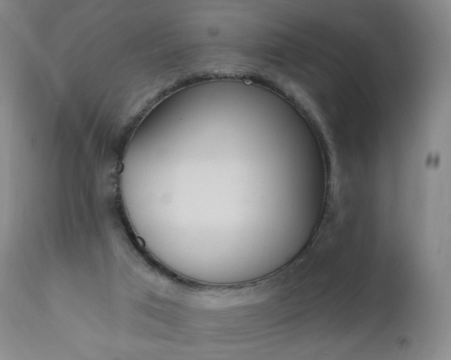 X0000111020017200906191242