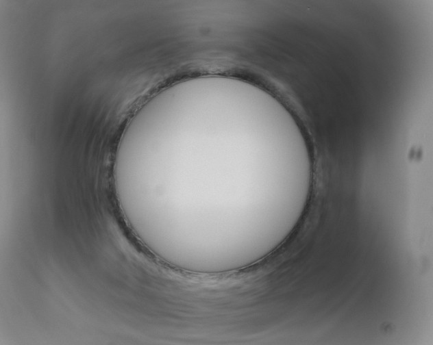 X0000111020018200906191242
