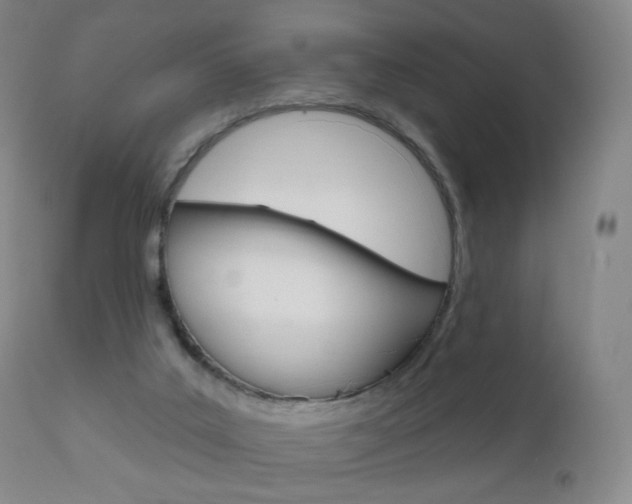X0000111020019200906191242