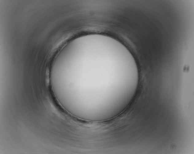 X0000111020020200906191242