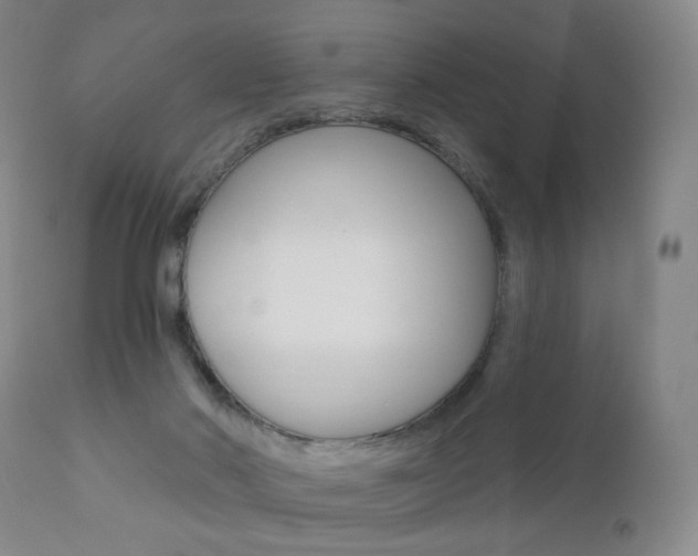 X0000111020022200906191242
