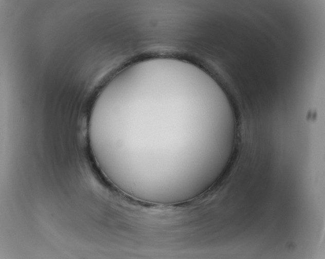 X0000111020024200906191241