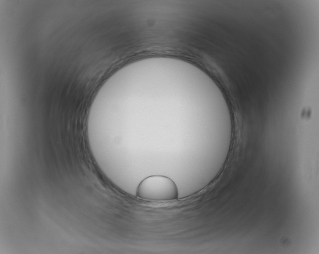 X0000111020025200906191241