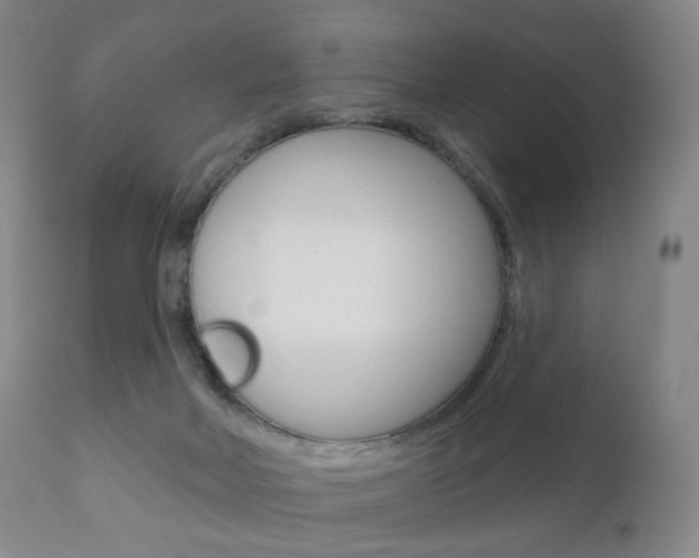 X0000111020026200906191241