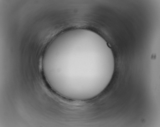 X0000111020028200906191241