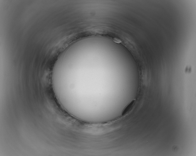 X0000111020029200906191241