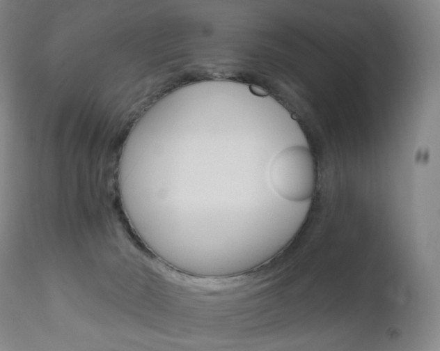 X0000111020030200906191241