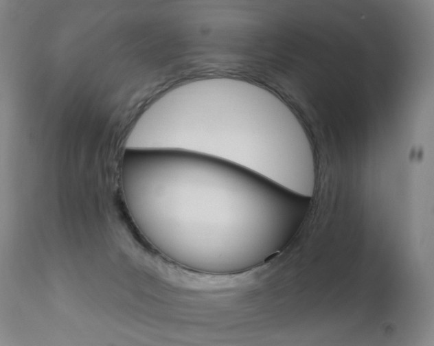 X0000111020031200906191241