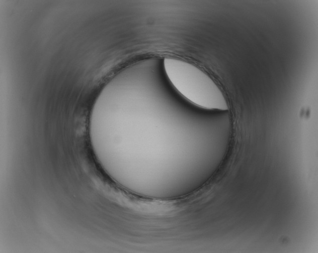 X0000111020032200906191241
