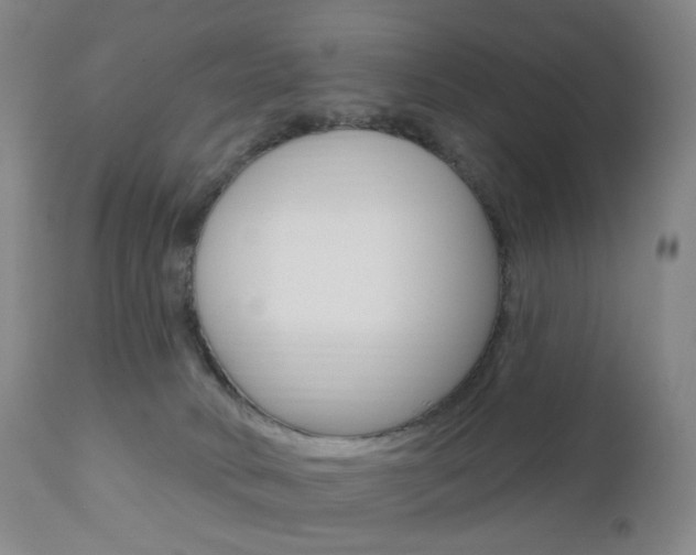 X0000111020034200906191241